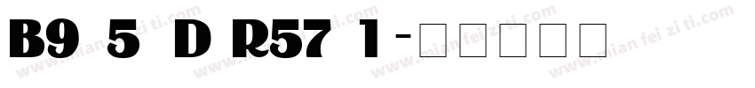 Binner D Regular字体转换